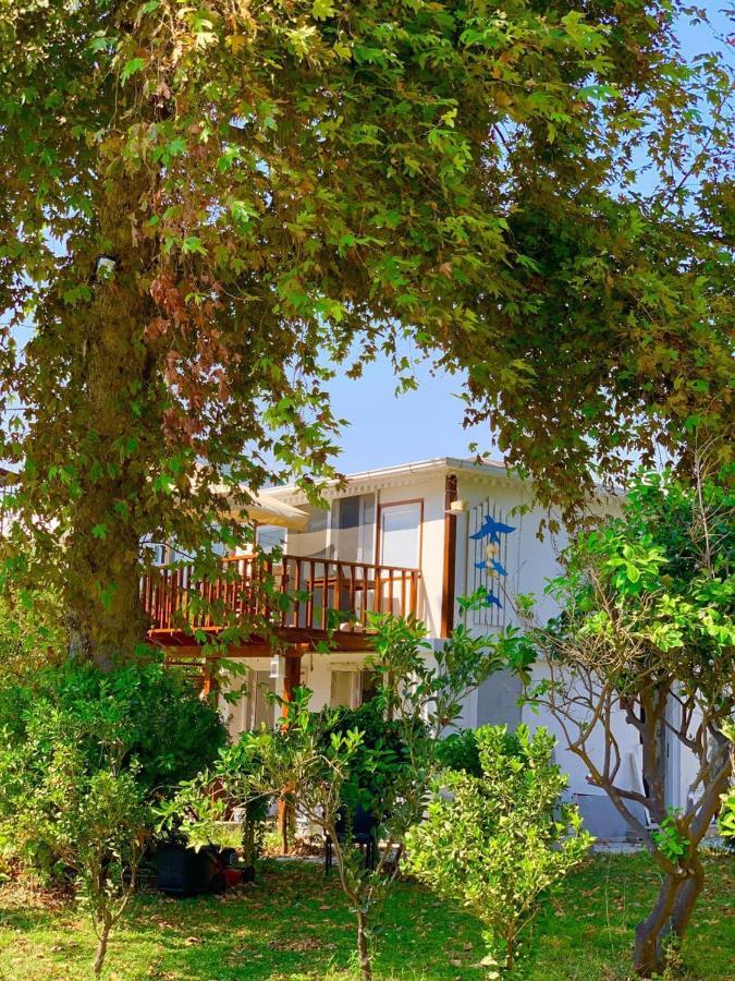 Marvel Tree Hotel Bozyazi Exterior photo