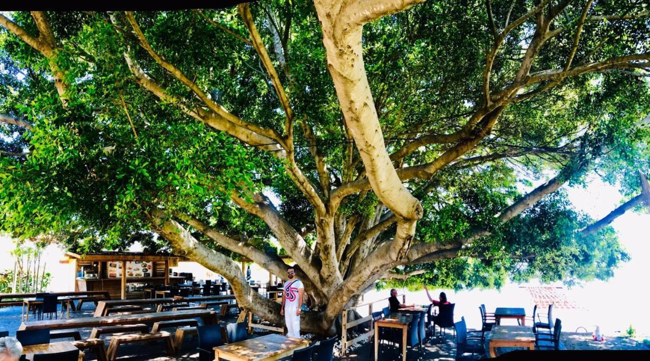 Marvel Tree Hotel Bozyazi Exterior photo