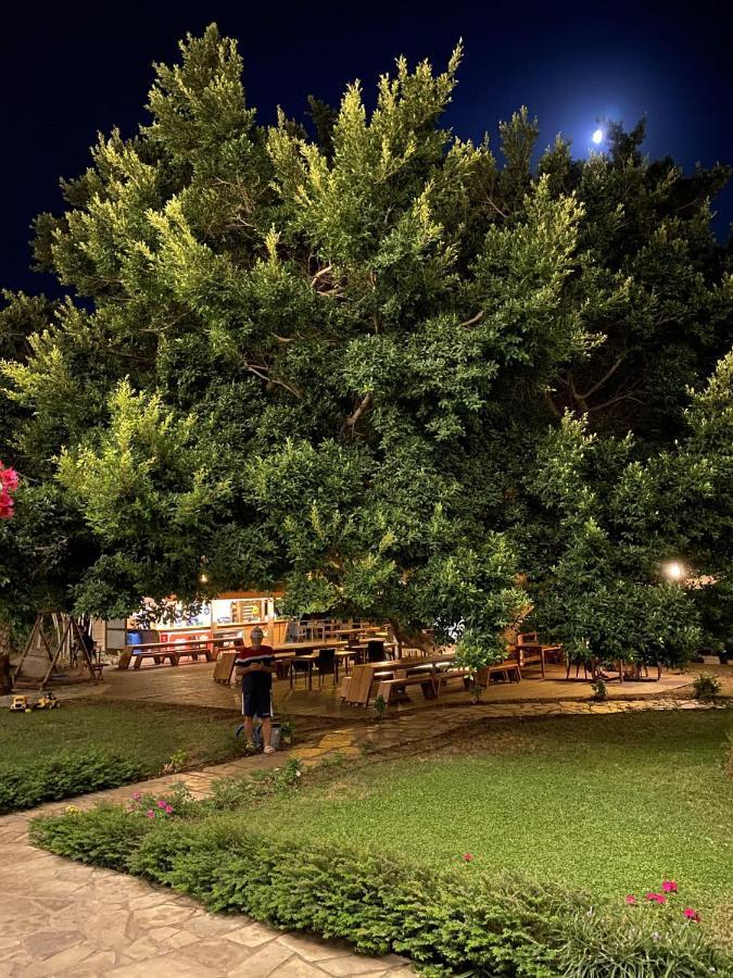 Marvel Tree Hotel Bozyazi Exterior photo