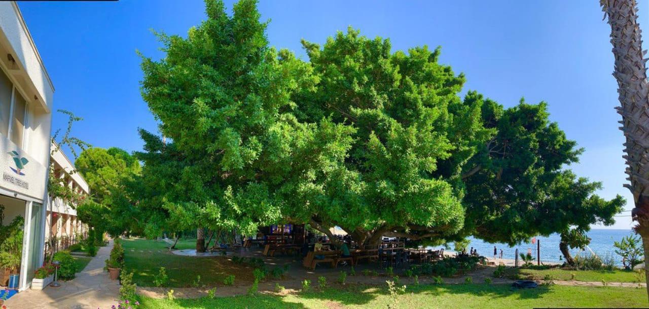 Marvel Tree Hotel Bozyazi Exterior photo