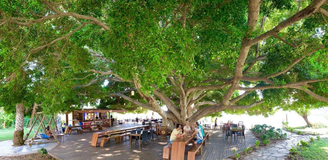 Marvel Tree Hotel Bozyazi Exterior photo